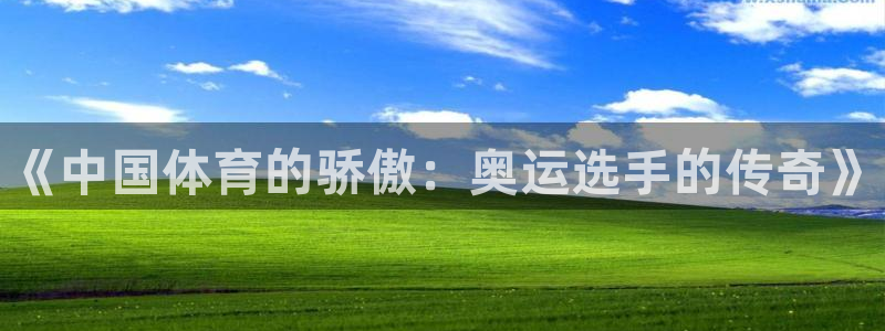 oety欧亿体育官网下载是干嘛的公司：《中国体育的骄