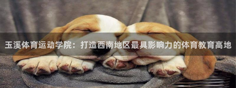 欧亿体育官方集团官网：玉溪体育运动学院：打造西南地区