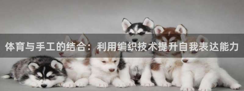 欧亿体育官方正版app集团简介：体育与手工的结合：利