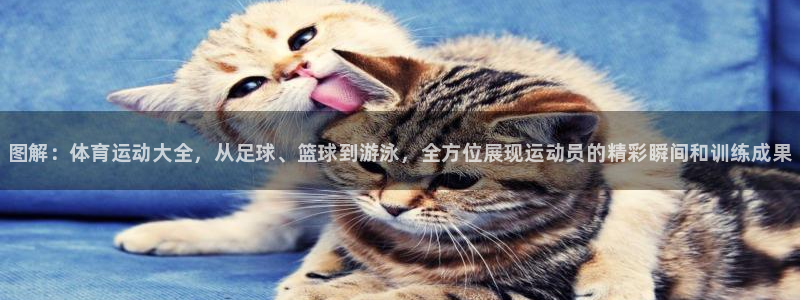 oety欧亿体育官网下载招商电话：图解：体育运动大全