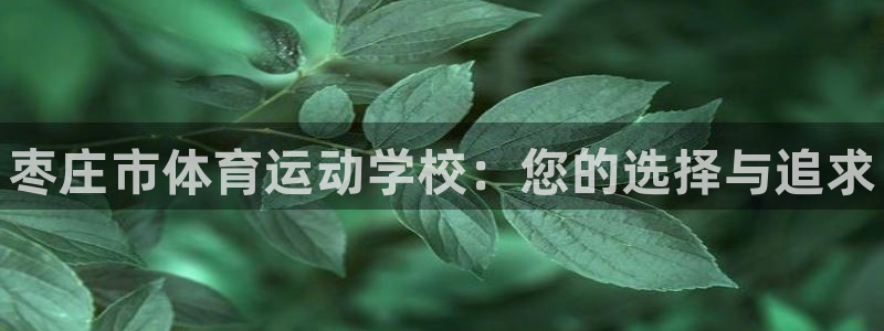 oety欧亿体育官网下载平台注册要钱吗是真的吗：枣庄