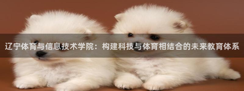oety欧亿体育官网下载联系电话：辽宁体育与信息技术