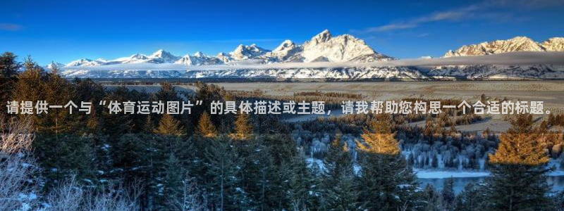 欧亿体育官方正版app开户：请提供一个与“体育运动图