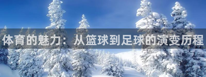 欧亿体育官方正版app官方：体育的魅力：从篮球到足球