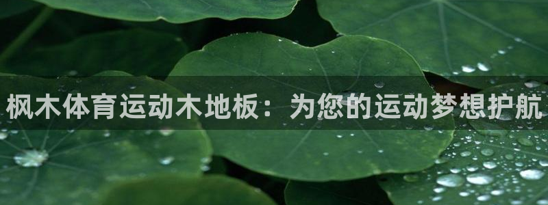 oety欧亿体育官网下载是干嘛的公司：枫木体育运动木