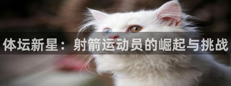 oety欧亿体育官网下载招商电话号码查询：体坛新星：