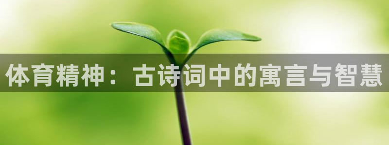 oety欧亿体育官网下载招商电话是多少：体育精神：古