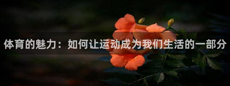 欧亿体育官方正版app娱乐下载：体育的魅力：如何让运