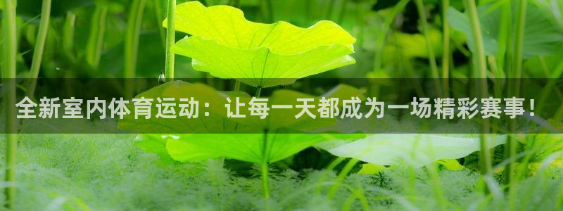 oety欧亿体育官网下载联系电话：全新室内体育运动：