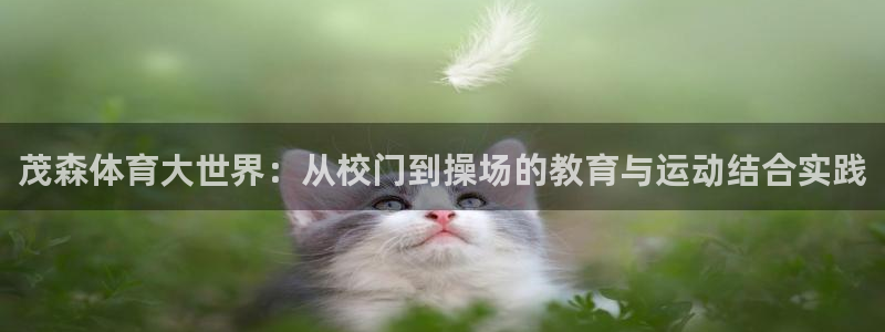 oety欧亿体育官网下载招商电话地址是多少：茂森体育