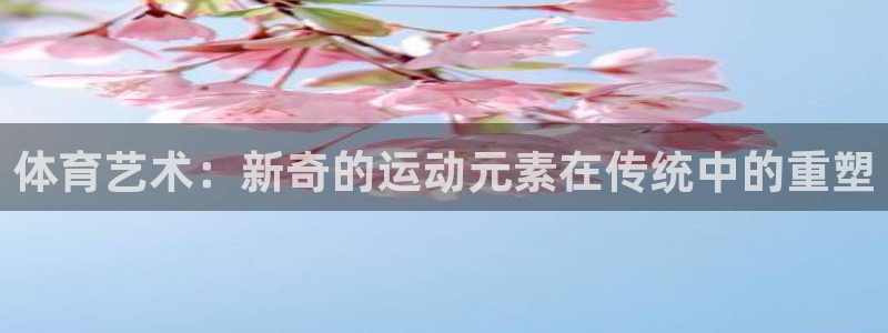 欧亿体育官方正版app娱乐首页网站大全：体育艺术：新