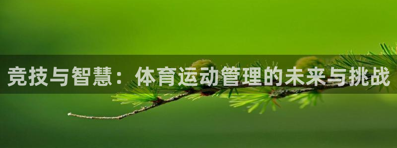 欧亿体育官方正版app代理：竞技与智慧：体育运动管理