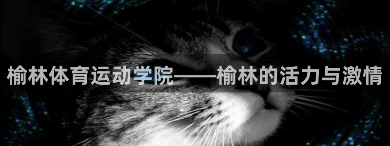 oety欧亿体育官网下载招商电话号码是多少号：榆林体育运动学