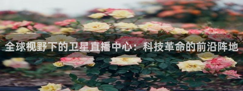 搜球吧手机直播nba直播