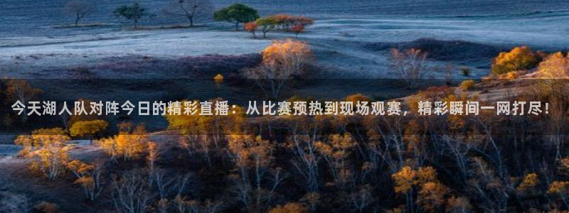 搜球吧零点吧nba直播：今天湖人队对阵今日的精彩直播：从比赛预热到现场观赛，精彩瞬间一网打尽！