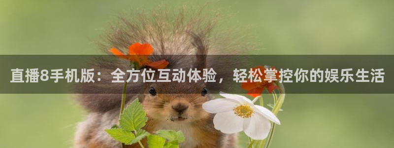搜球吧直播网：直播8手机版：全方位互动体验，轻松掌控你的娱乐生活