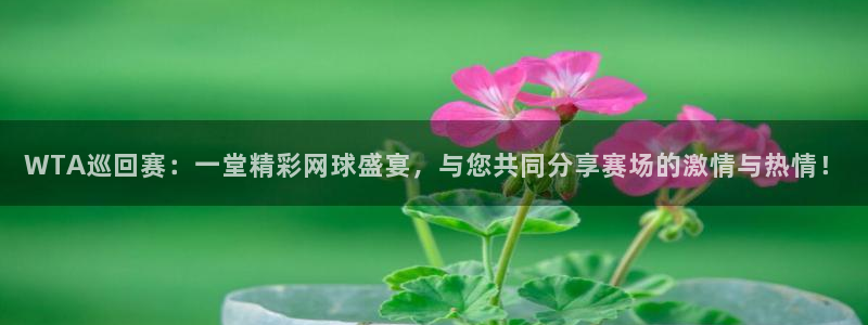 搜球体育官网：WTA巡回赛：一堂精彩网球盛宴，与您共同分享赛场的激情与热情！