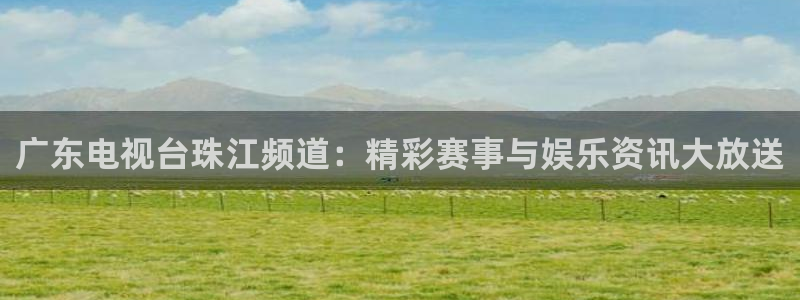 搜球吧在线直播nba：广东电视台珠江频道：精彩赛事与娱乐资讯大放送
