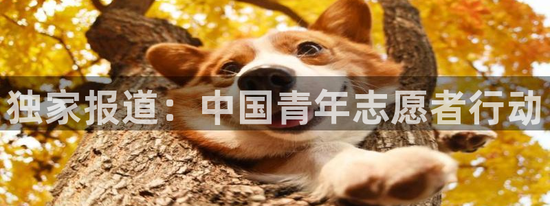 搜球吧直播 在线观看：独家报道：中国青年志愿者行动