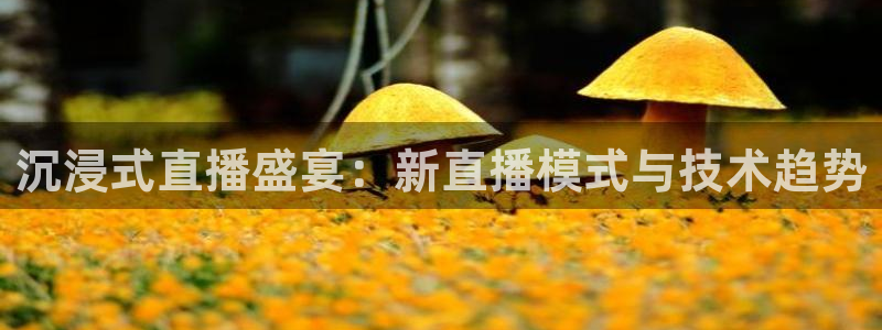 搜球吧 直播：沉浸式直播盛宴：新直播模式与技术趋势