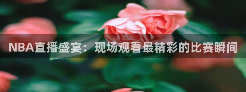 搜球8直播nba直播：NBA直播盛宴：现场观看最精彩的比赛瞬间