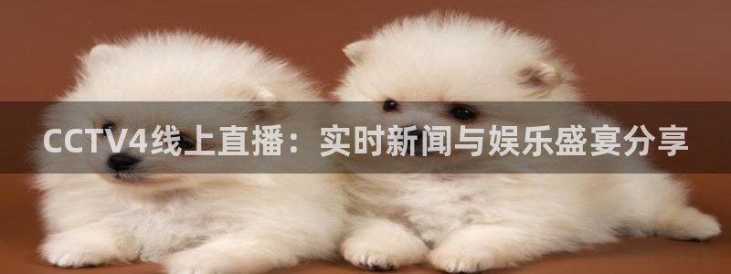 搜球吧直播网：CCTV4线上直播：实时新闻与娱乐盛宴分享